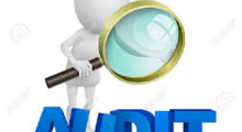 Audit_4_overview